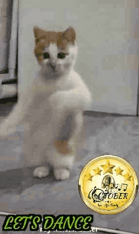 Gitapro1 Okaber GIF
