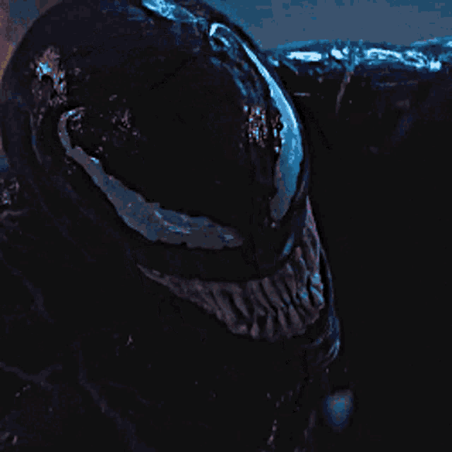 Gjirlfriend Eddie GIF
