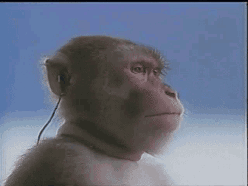 Gjirlfriend GIF