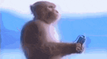 Gjirlfriend GIF
