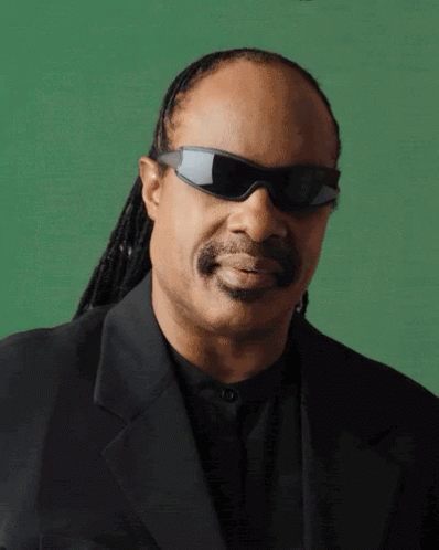 Glasses On Stevie Wonder GIF