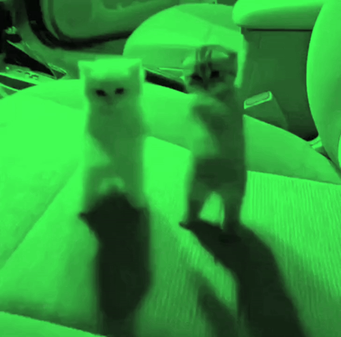 Glorping GIF. This 498 x 493 animated GIF is part of our funny dance collection. Created by glorpglorpington. View the original animation, share it, or…