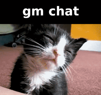 Gm Gm Chat GIF