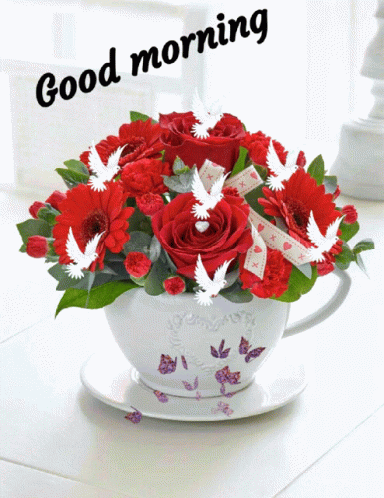 Gm Good Morning GIF