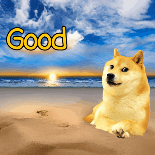 Gm Good Morning GIF