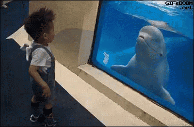 Go Away Gtfo GIF
