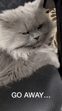Go Away I Hate You GIF