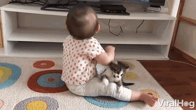 Go Away Viralhog GIF