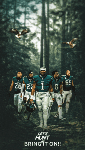 Go Birds Meme