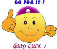 Go For It Good Luck Sticker