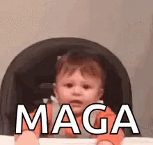 Go Pats GIF