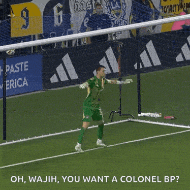 Goal Block Major League Soccer GIF