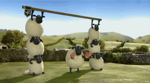 Goal Celebrate GIF