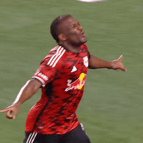 Goal Celebration Major League Soccer GIF