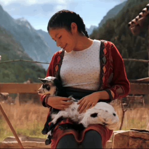 Goat Cute GIF