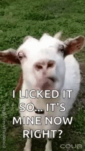 Goat Eating GIF