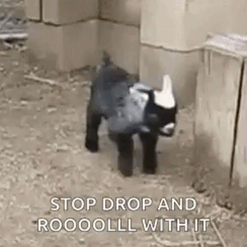Goat Fall GIF