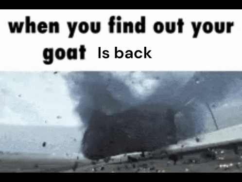Goat Is Back We Are So Back GIF