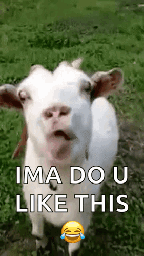 Goat GIF