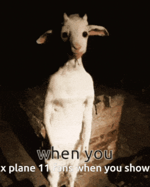 Goat Standing GIF