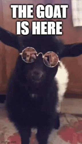 Goatishere GIF. This 286 x 498 animated GIF is part of our goat collection. Created by VisionPlex. View the original animation, share it, or browse related…