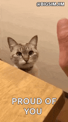 Goatplaybanjo Cat GIF