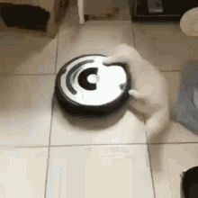 Goatplaybanjo Chat GIF
