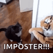 Goatplaybanjo Chat GIF