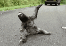 Goatplaybanjo Tuer GIF