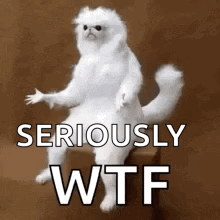 Goatplaybanjo Wtf GIF