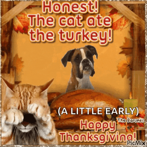 Gobble Gobble Turkey Trot GIF