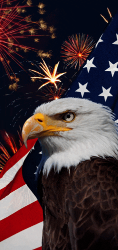 God Bless America And All Patriots Meme