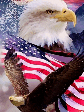 God Bless America Meme