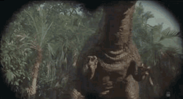 Godzilla Godzilla Vs King Ghidorah GIF