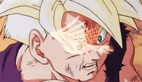 Gohan Bird GIF