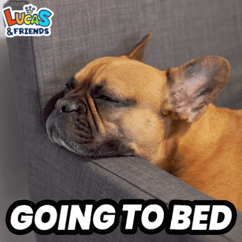 Going To Bed Going To Sleep GIF