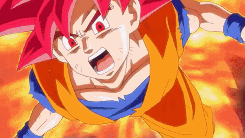 Goku Beerus GIF