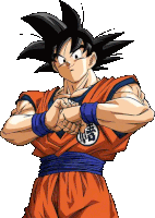 Goku Goku Fight Sticker