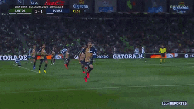 Gol Pumas GIF