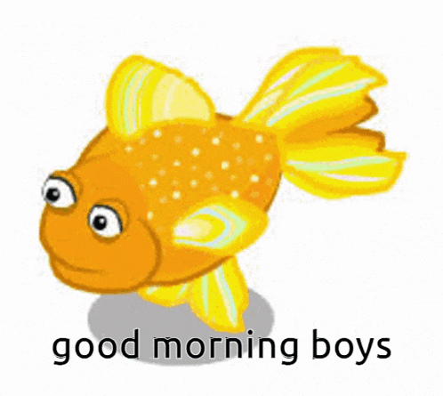 Goldfish Sgt Goldfish GIF