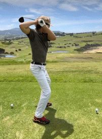 Golf Golfing GIF
