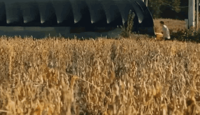 Golingdown Jlipalm GIF