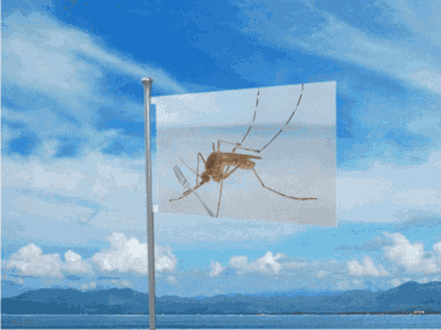 Gomwacafwi Flag GIF