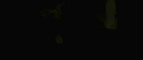 Gone Girl GIF