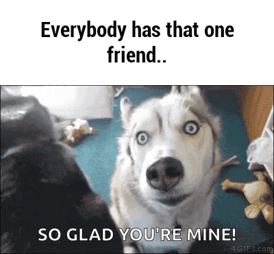 Gone To The Snow Dogs Friends GIF