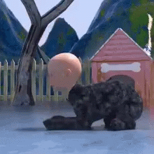 Gone Wrong Cat GIF