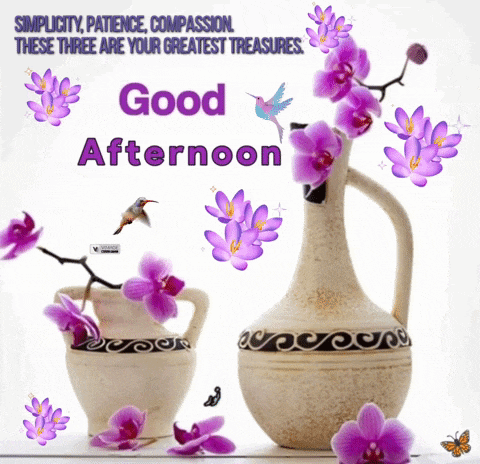 Good Afternoon GIF