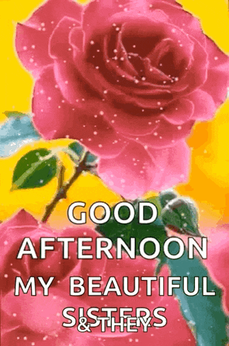 Good Afternoon GIF