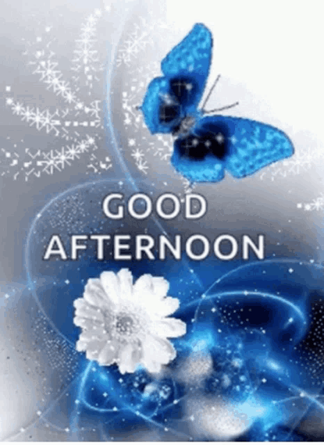 Good Afternoon Nature Meme