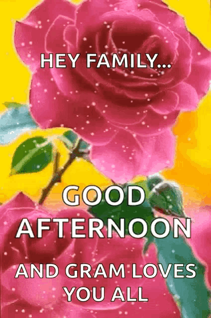 Good Afternoon GIF